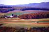 farmland pic for elvis script.jpg